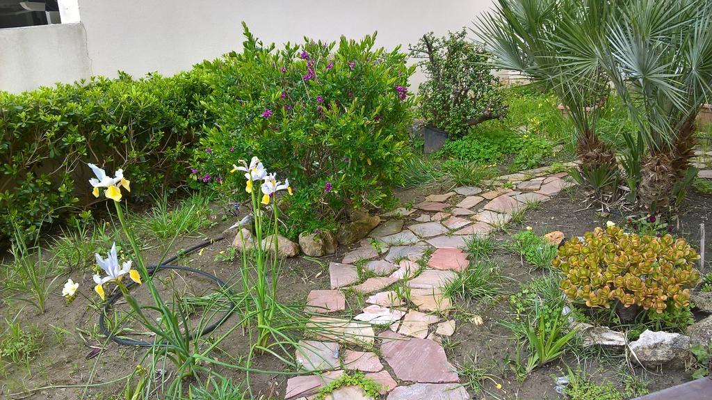 Appartamento Tulipano Альгеро Экстерьер фото